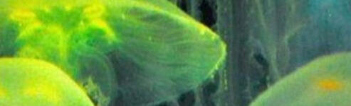 Check Tumblr for more fandoms!!